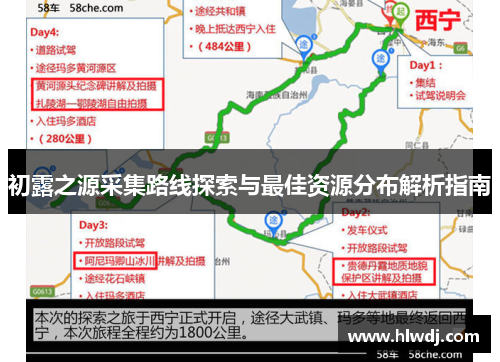 初露之源采集路线探索与最佳资源分布解析指南