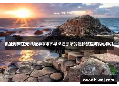 孤独海兽在无垠海洋中徘徊寻觅归属感的漫长旅程与内心挣扎