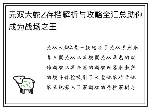 无双大蛇Z存档解析与攻略全汇总助你成为战场之王